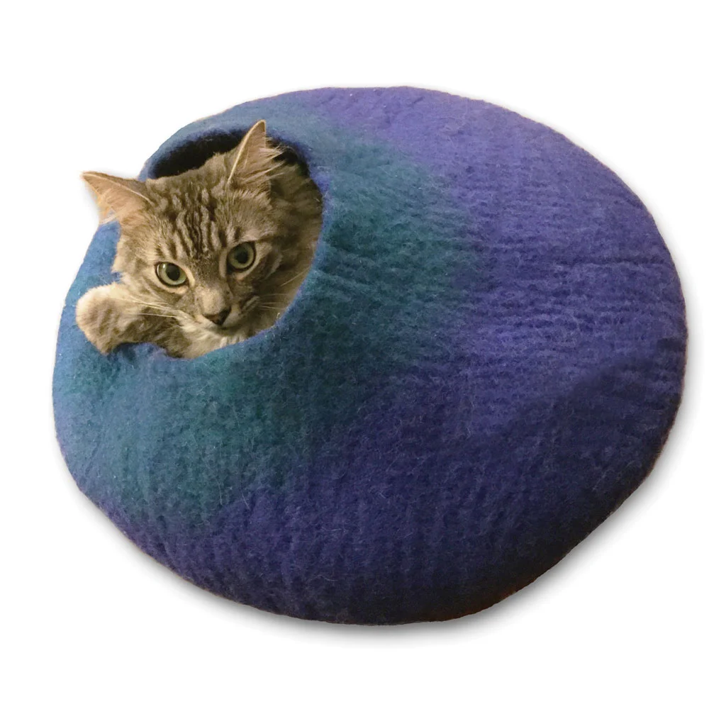 WalkingPalm-Catcave.jpg
