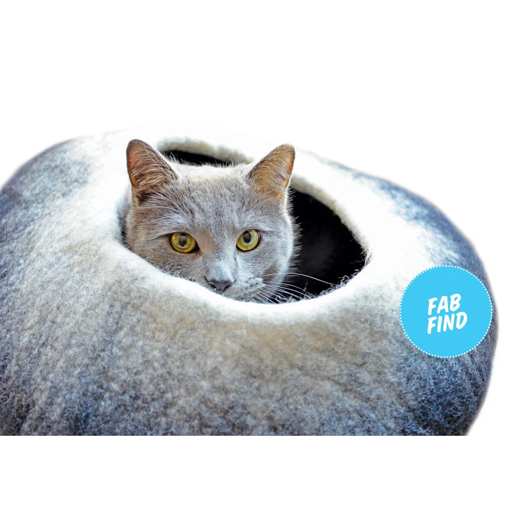 DistinctlyHimalyan-CatbedBadge.jpg