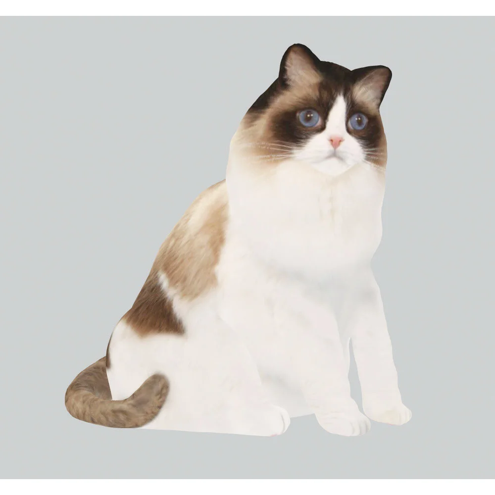 Furever3D.jpg