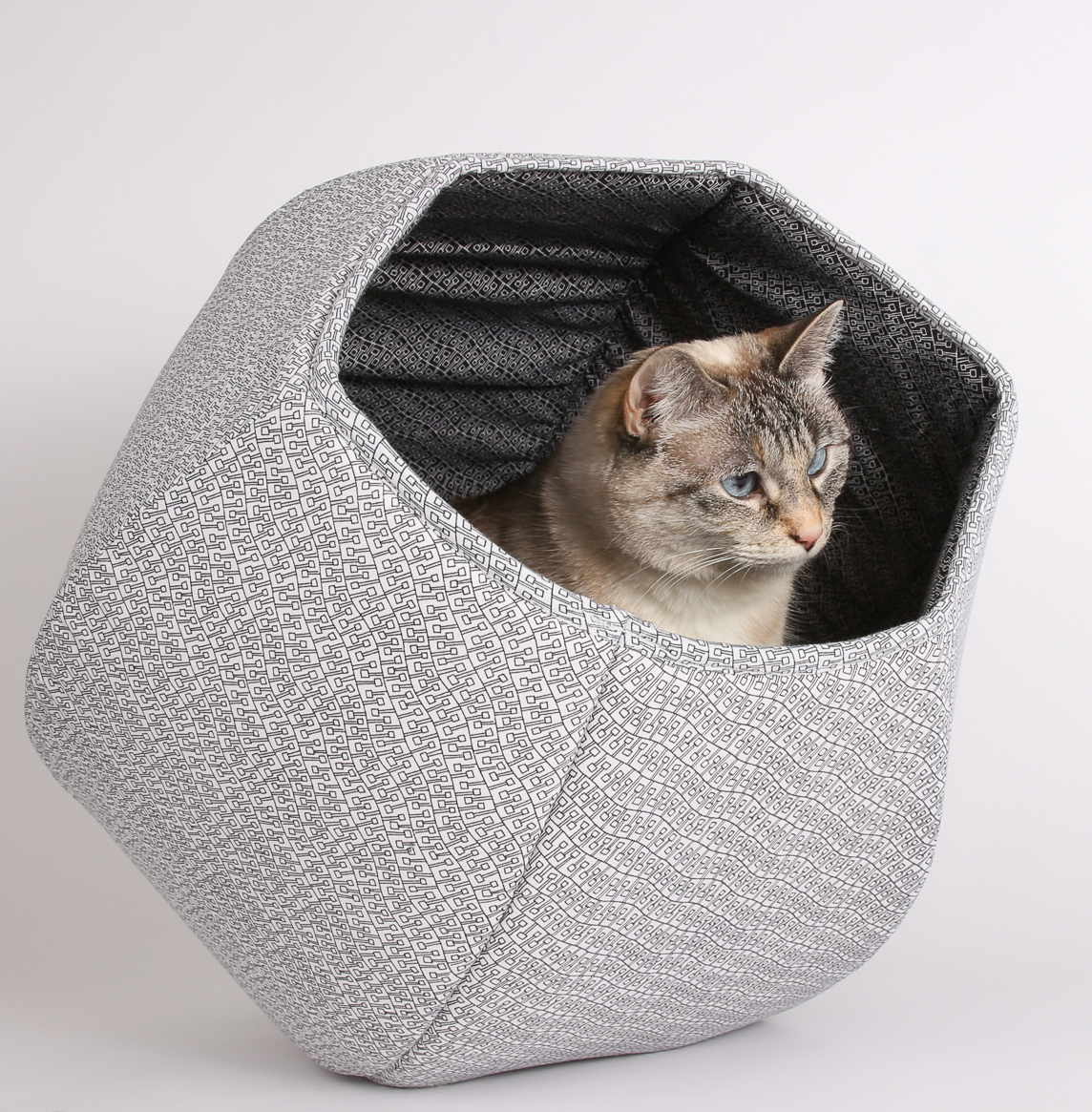 cat ball bed