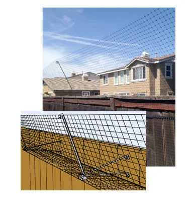 catfencein2.jpg