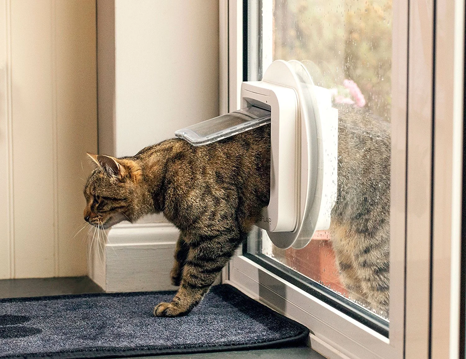 smart cat door