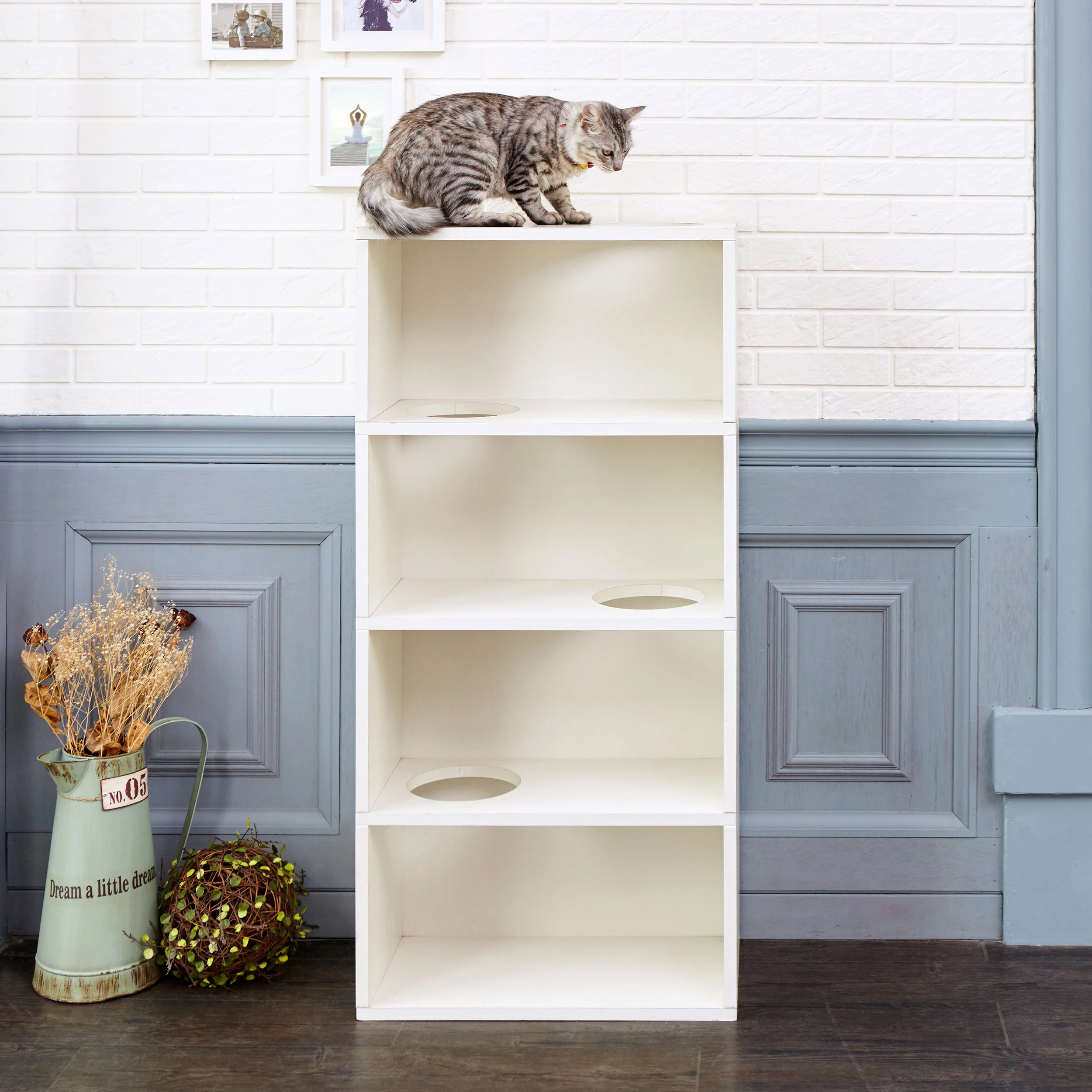 cat bookcase
