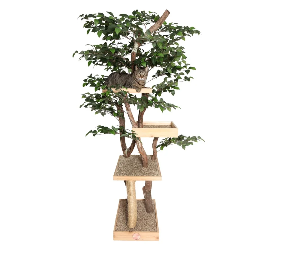 cat tree with leaves and branches