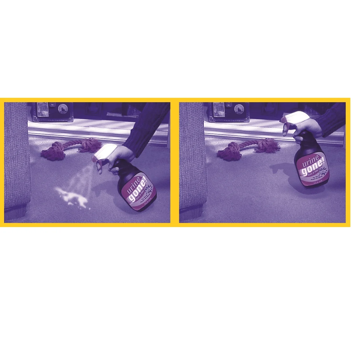 Urine Gone B&A.jpg