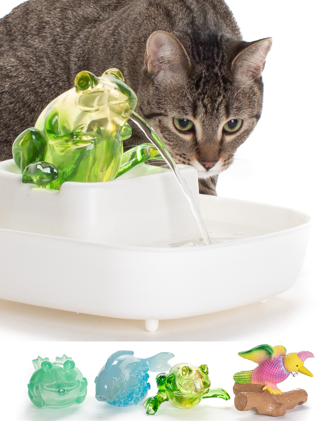 jackson galaxy eclipse bowl