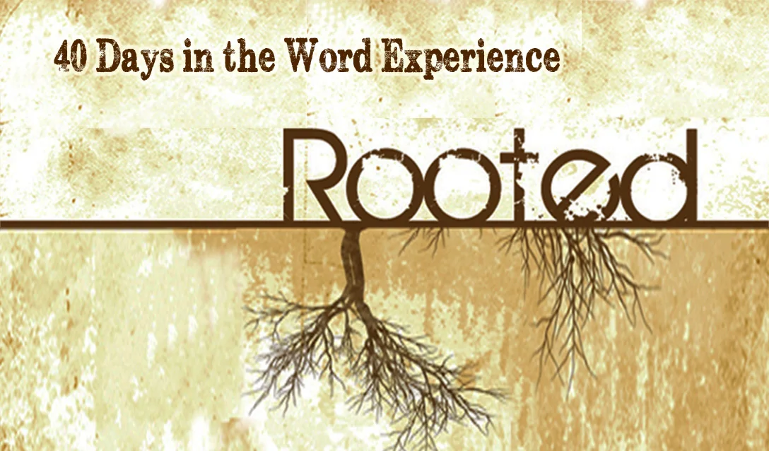 Rooted-Front.jpg