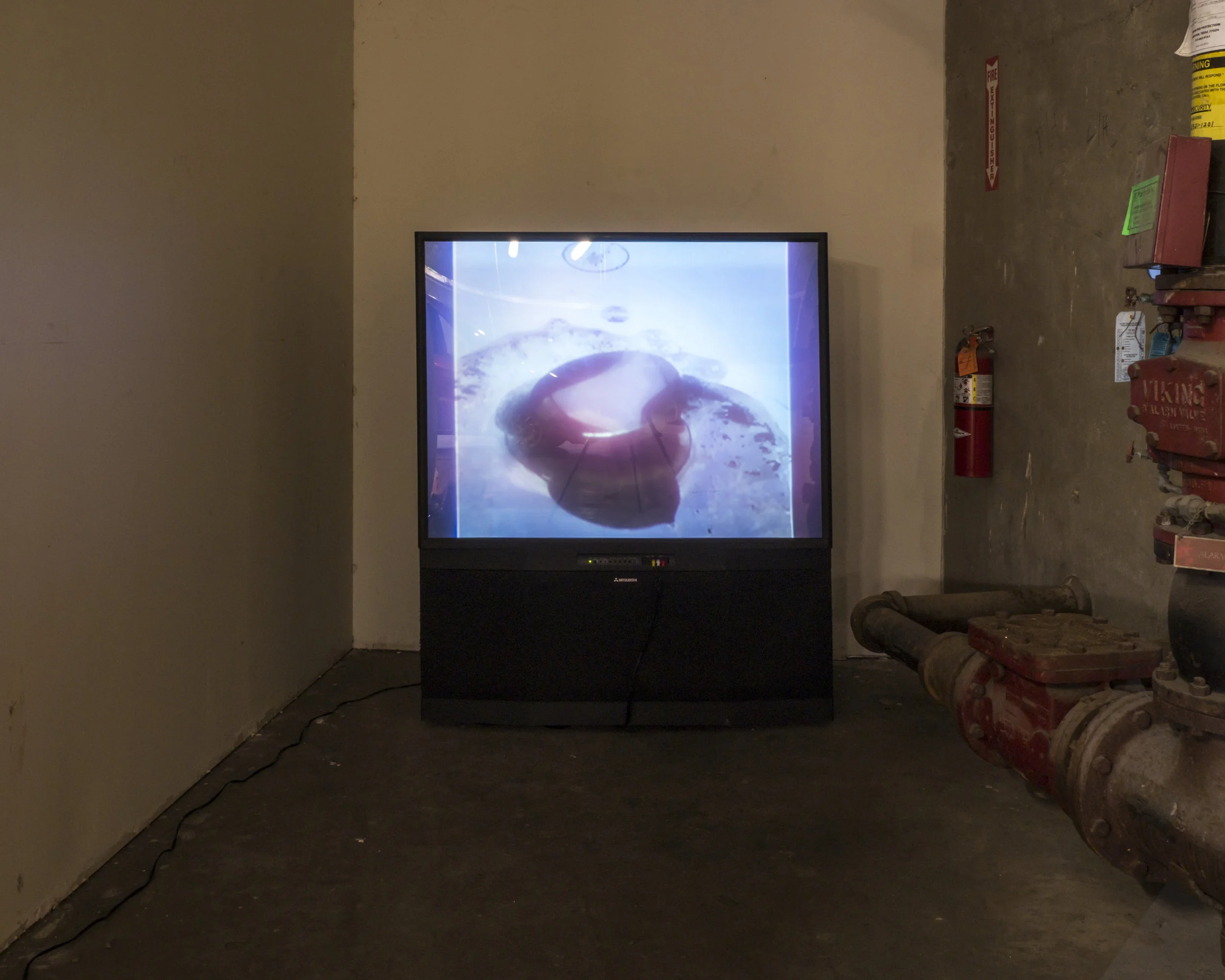 warehouse008.jpg
