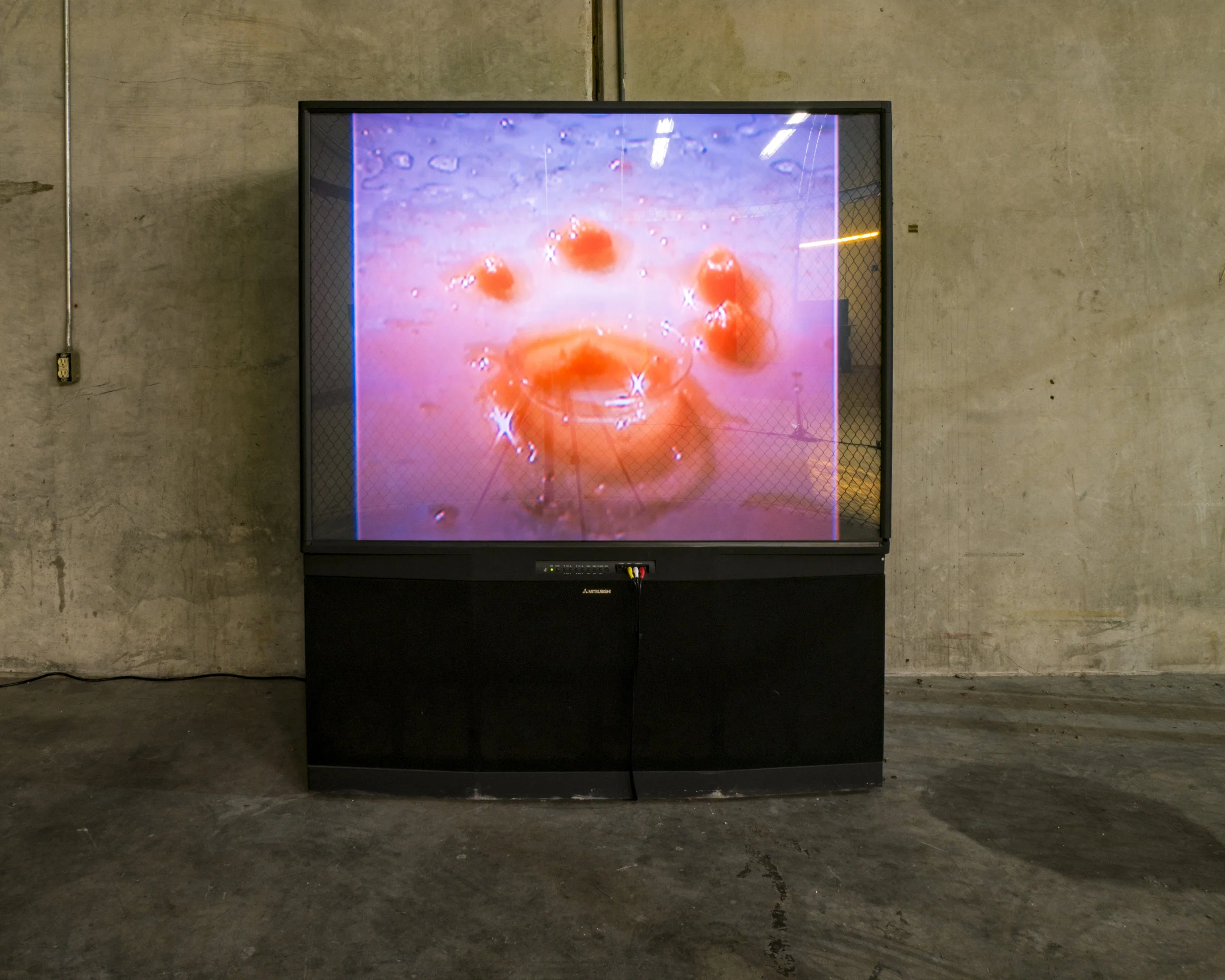 install013.jpg