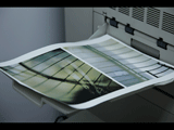  A sheet of decals, fresh out of printer. This sheet has yet to be cover coated.