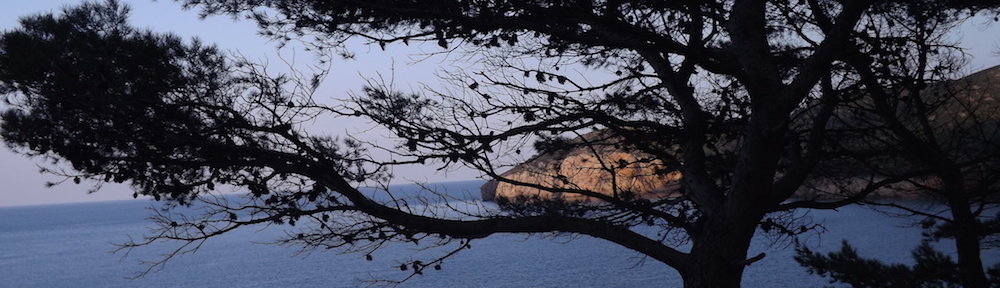 This is the official picture from the conference website. Beautiful, no?