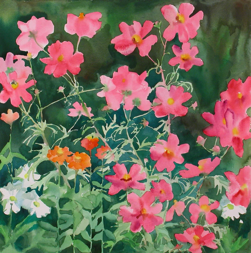 Cosmos