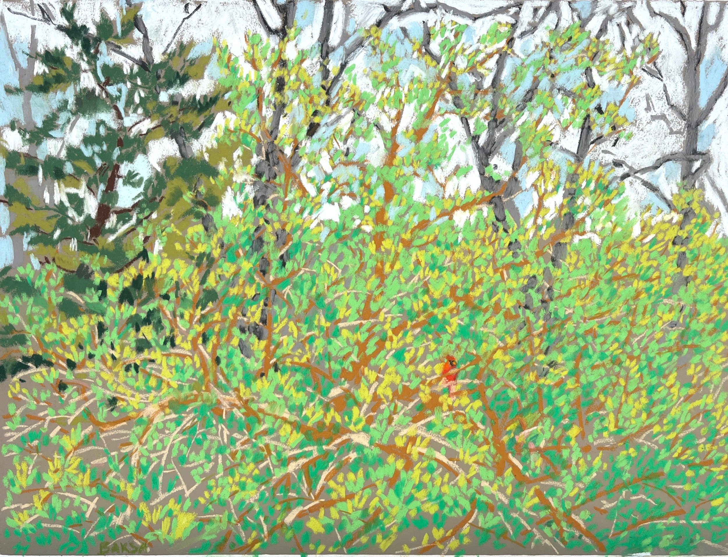 Earth Day and Cardinal Berry