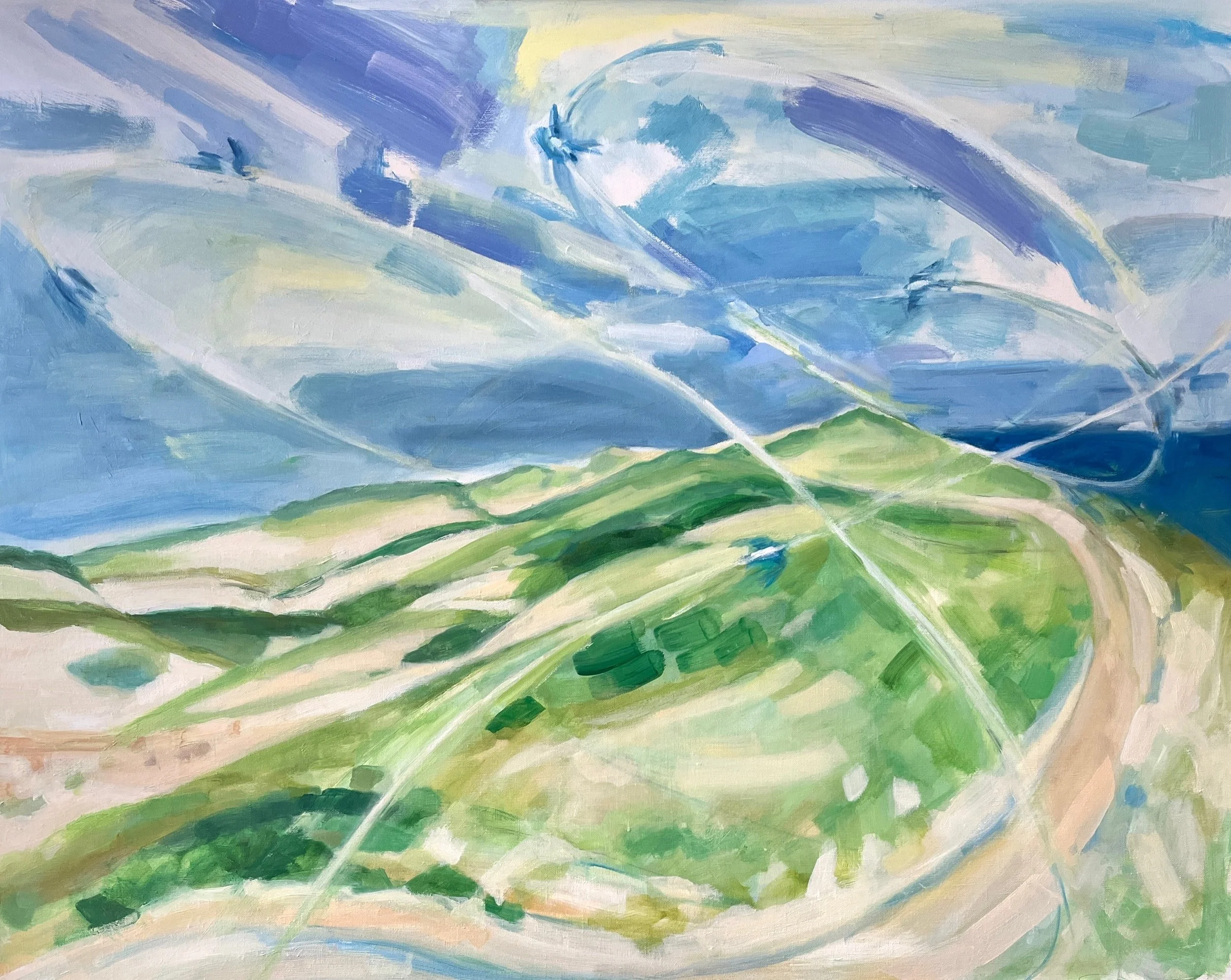 Flight Paths of The Tree Swallows