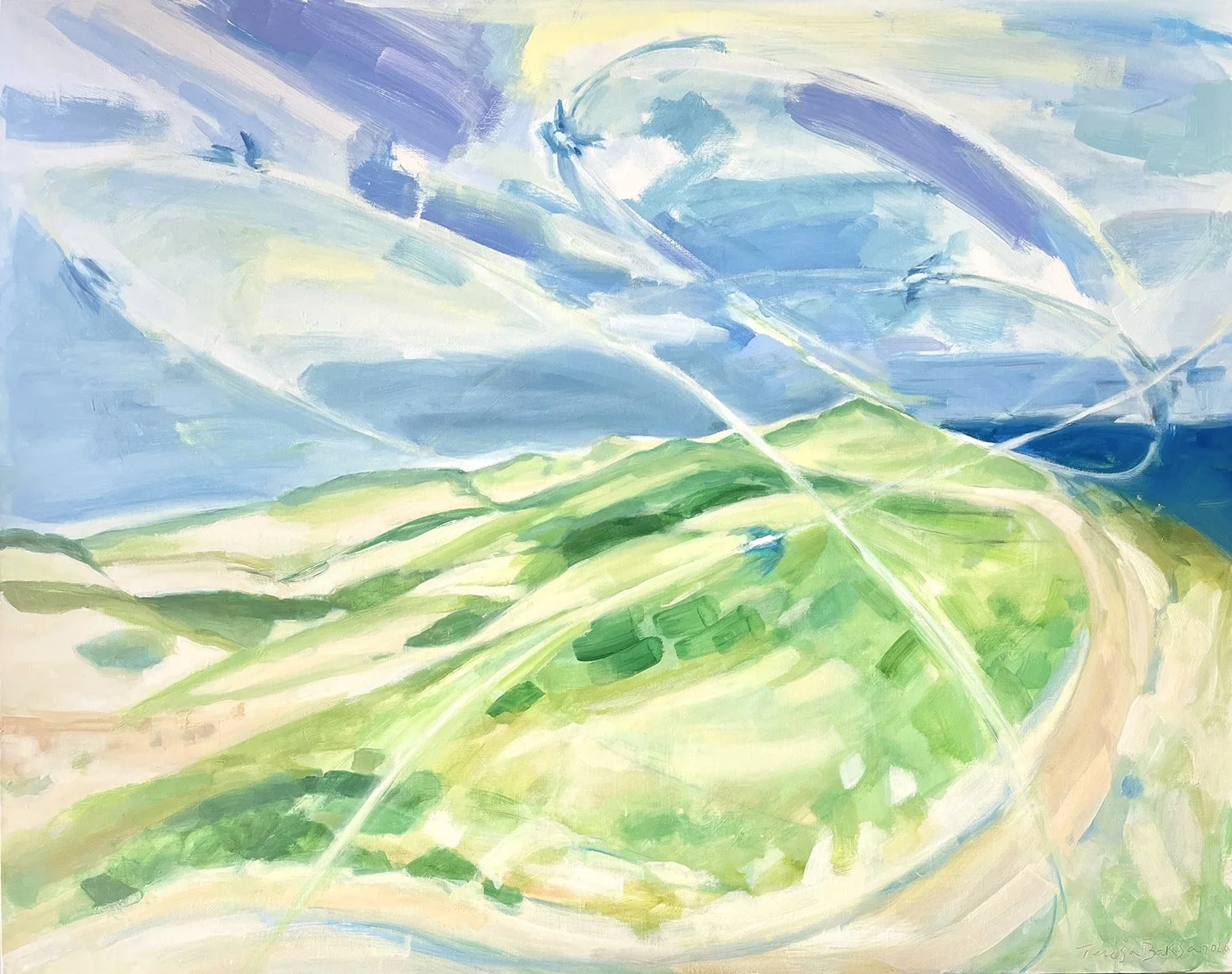 Flight Paths of The Swallows