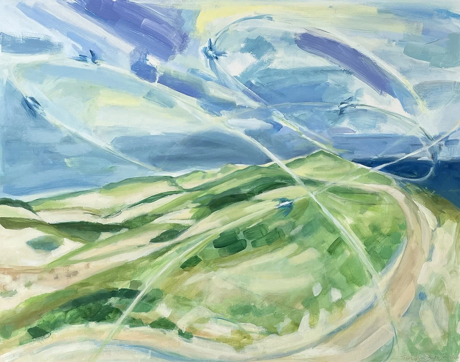 Flight of the Swallows