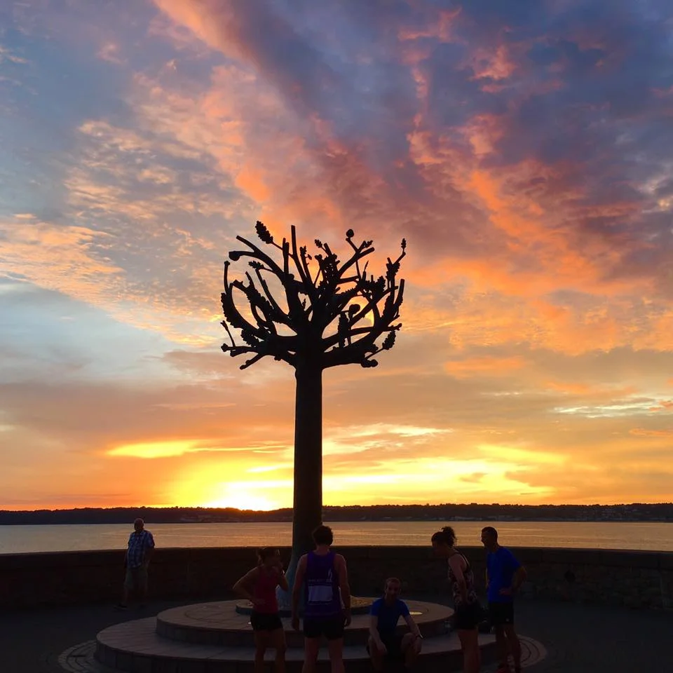 The best way to experience Jersey is by running it.