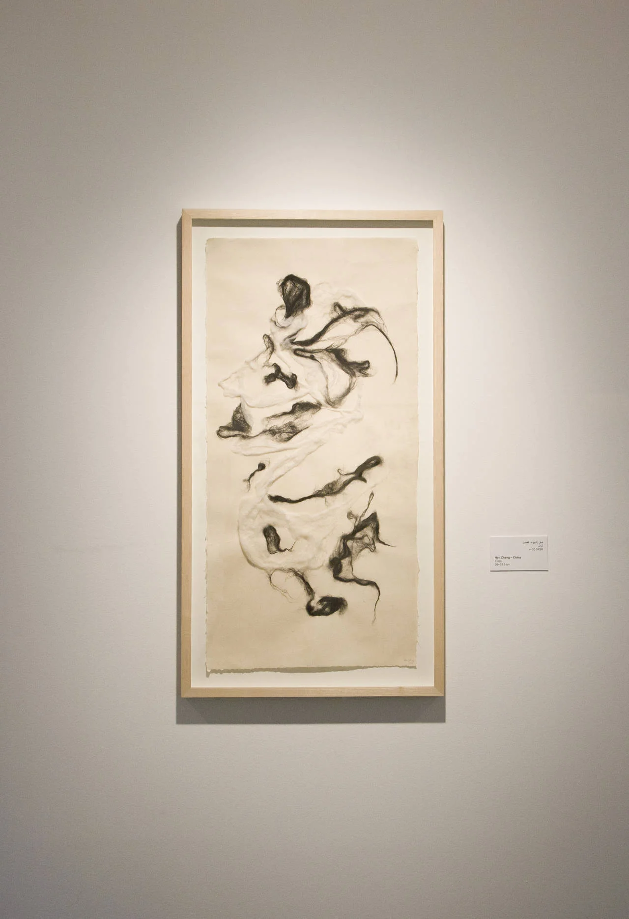 Form_Han_Zhang_02.jpg