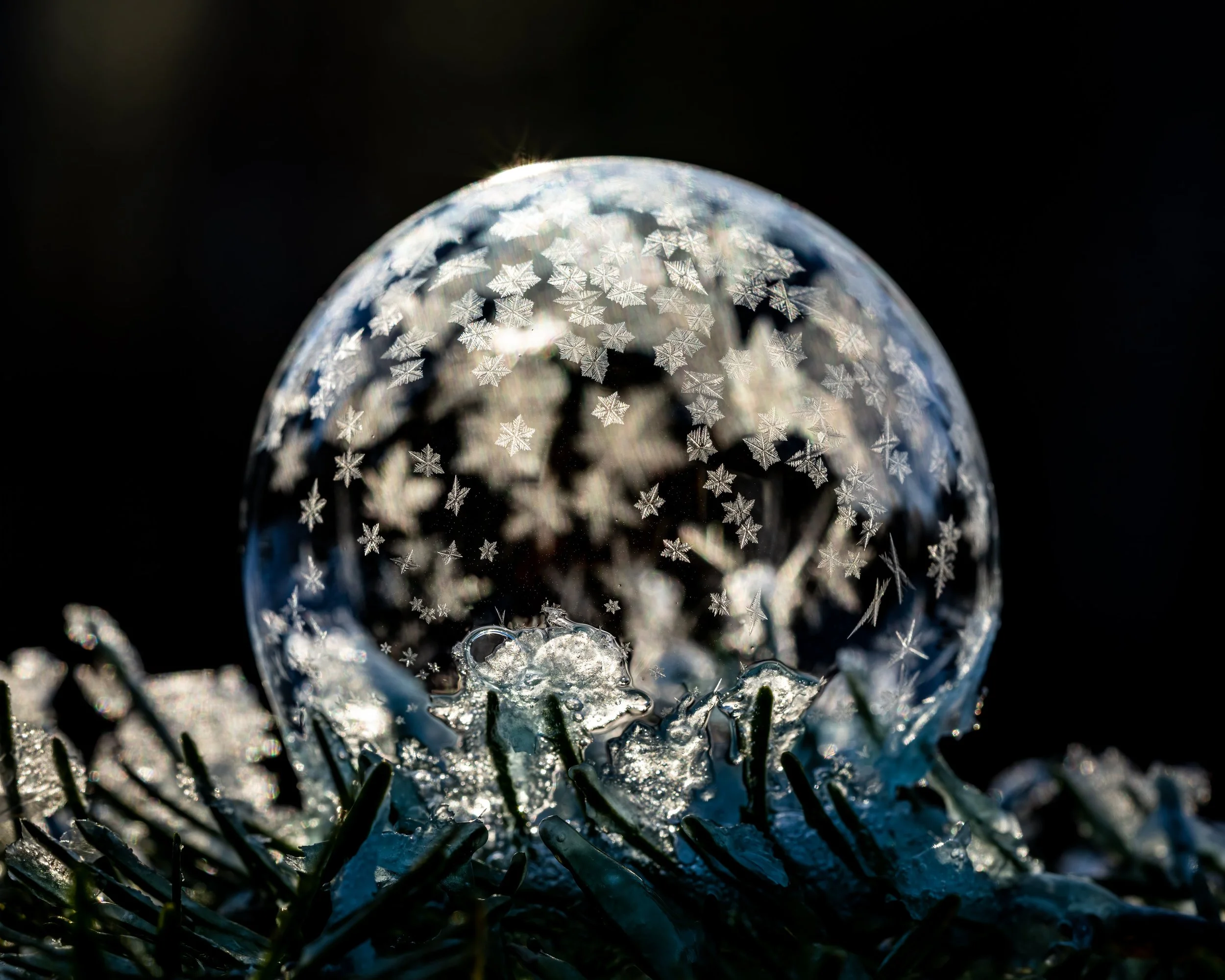 ONLINE New Year's Day Gentle Flow