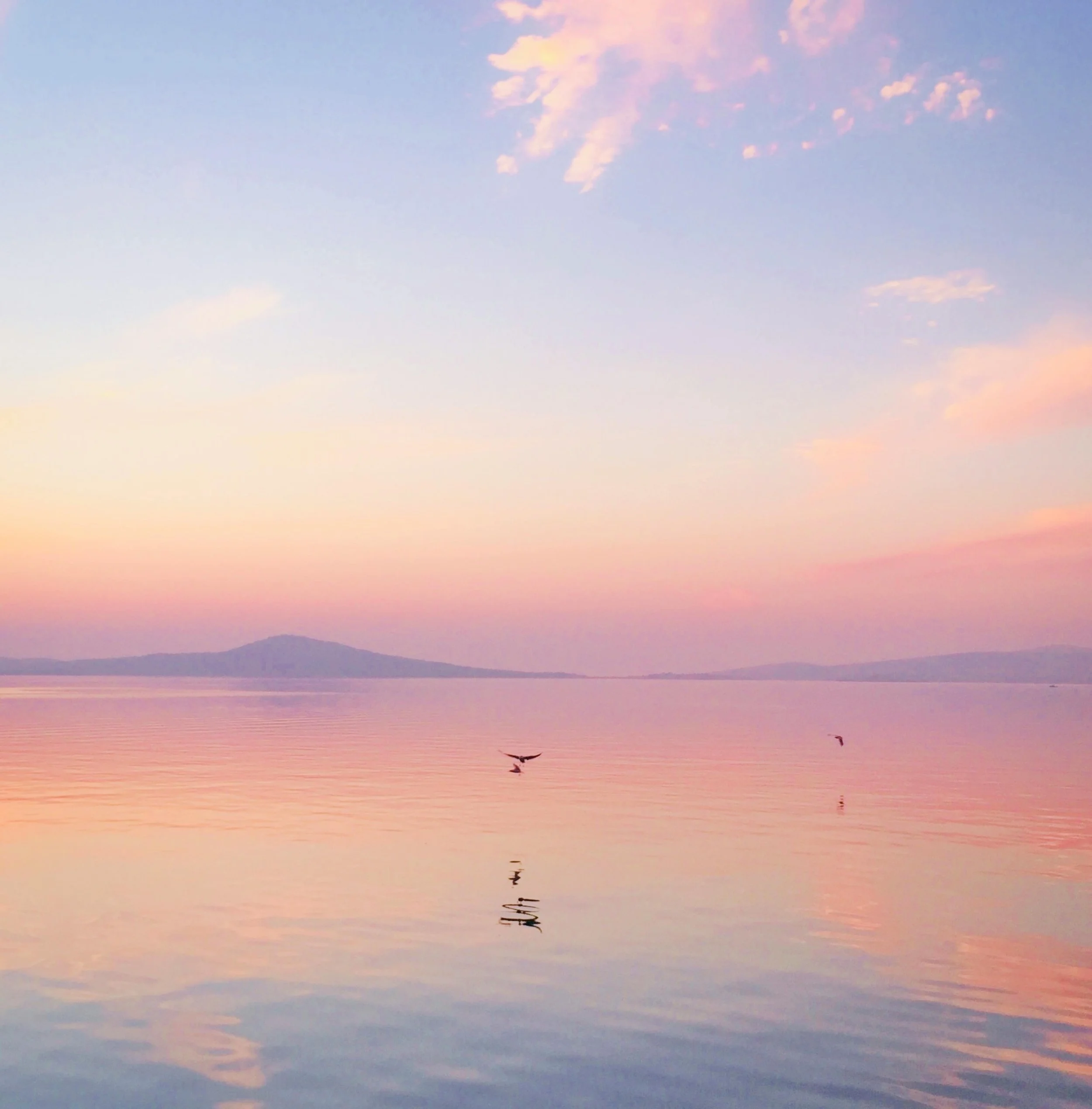 ONLINE SPECIAL: Yoga Nidra 