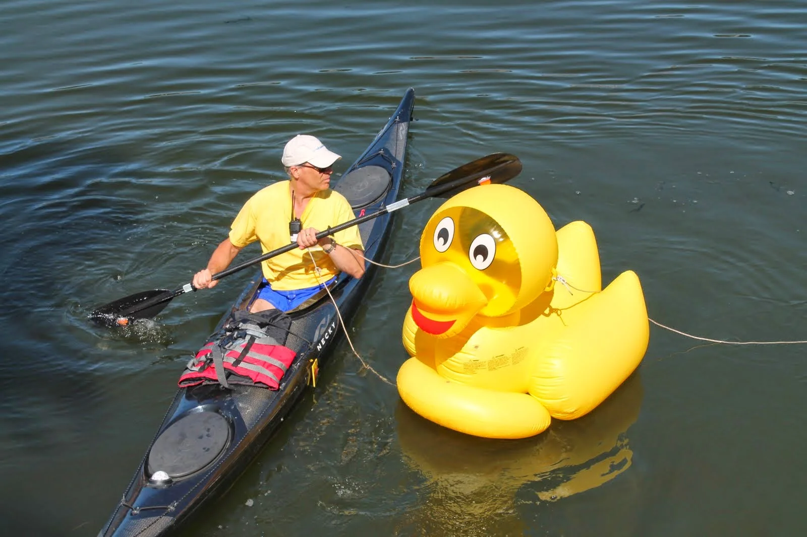 GREAT DUCK RACE 2019 — Westport Sunrise Rotary