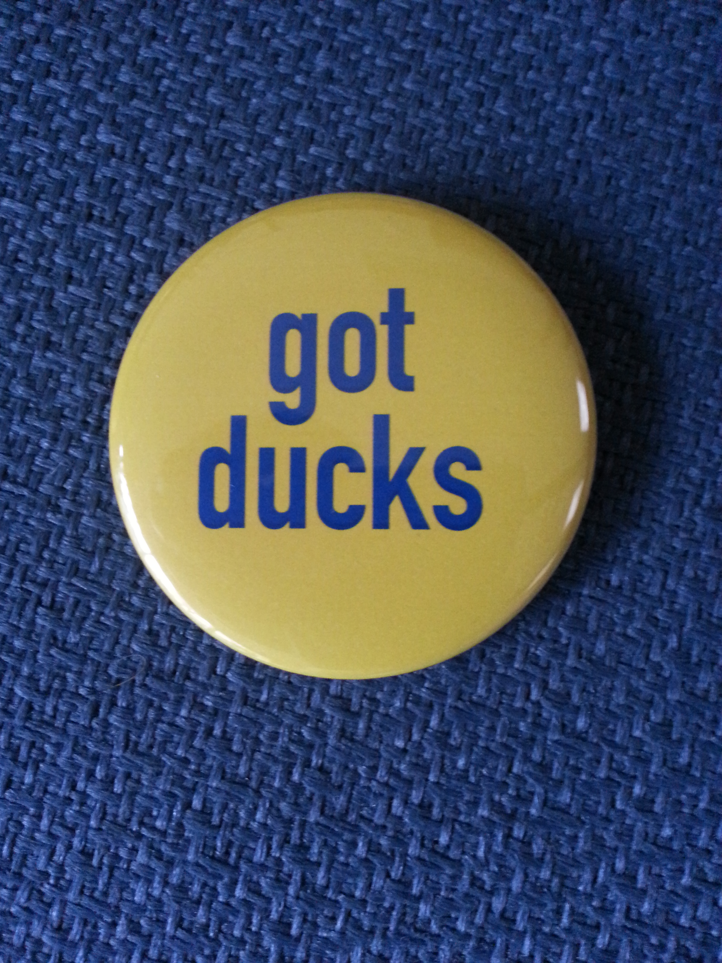 Got Ducks pin.jpg