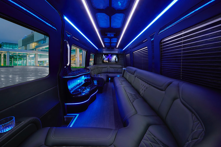 Limo_0197_v20_+low_res.jpg