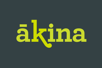 Akina Workshop