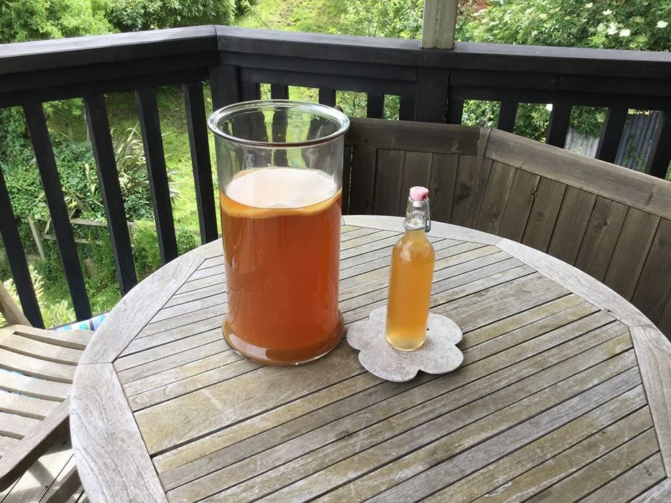Fermentation Workshops ~ Kambucha, & Vegetables