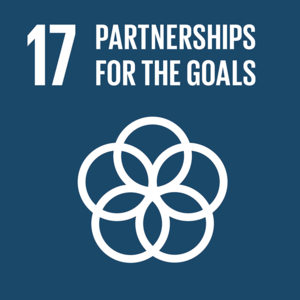17-sdg-partnerships-for-the-goals.png