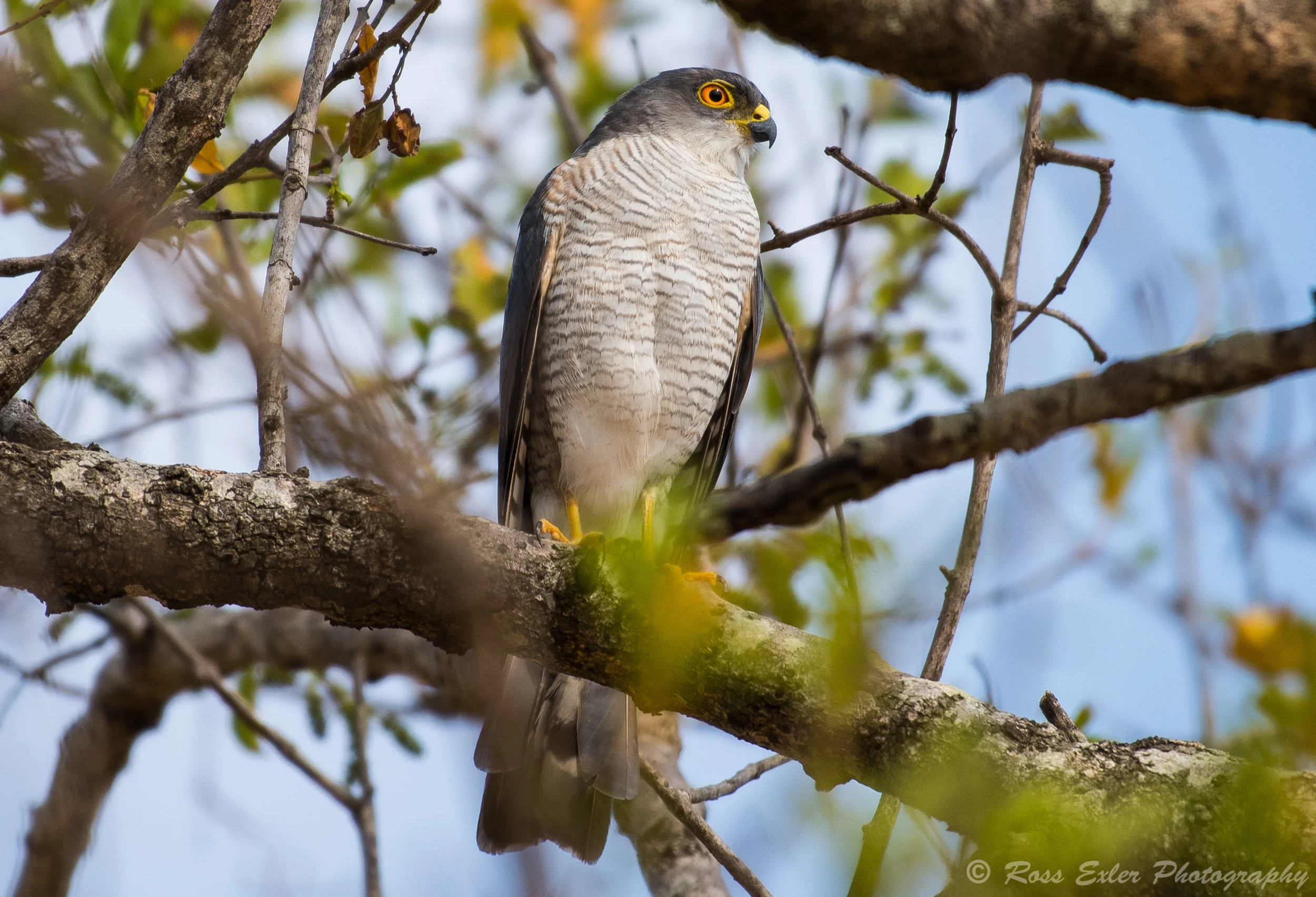 DSC_1083-1.jpg