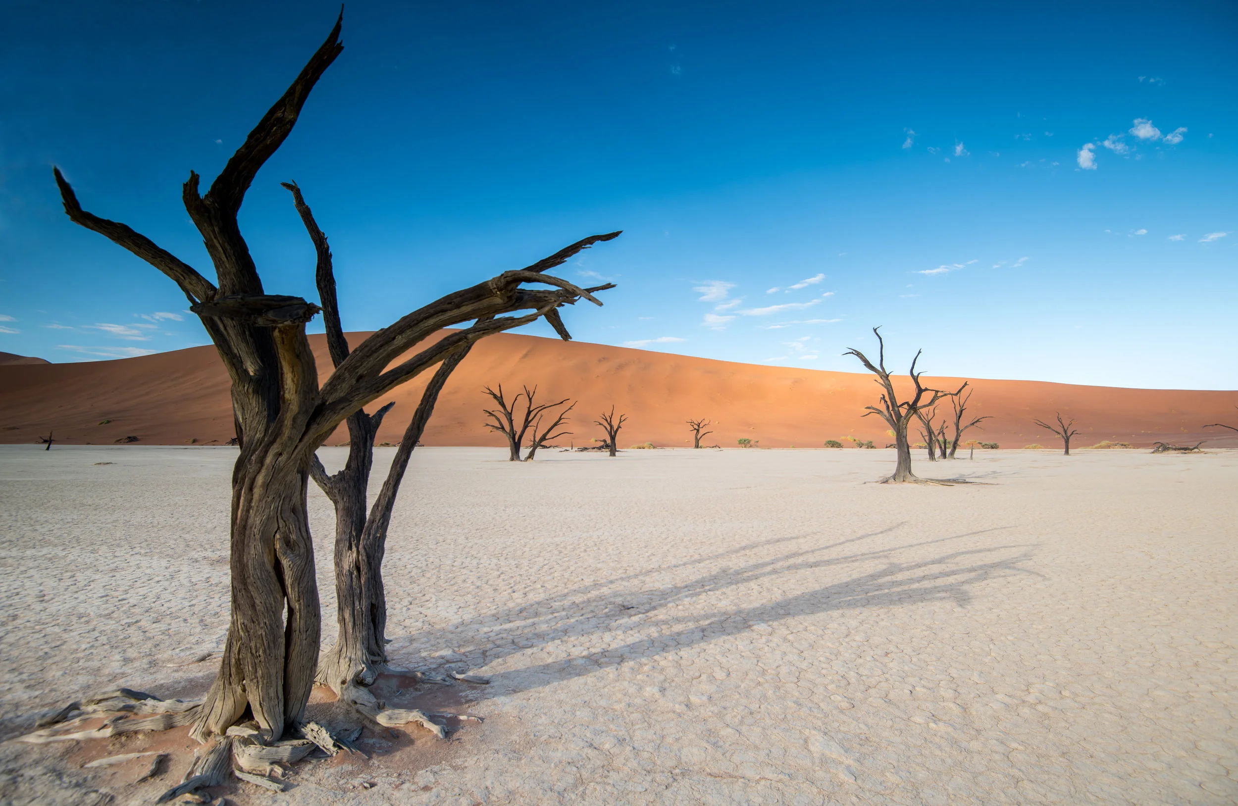 Deadvlei