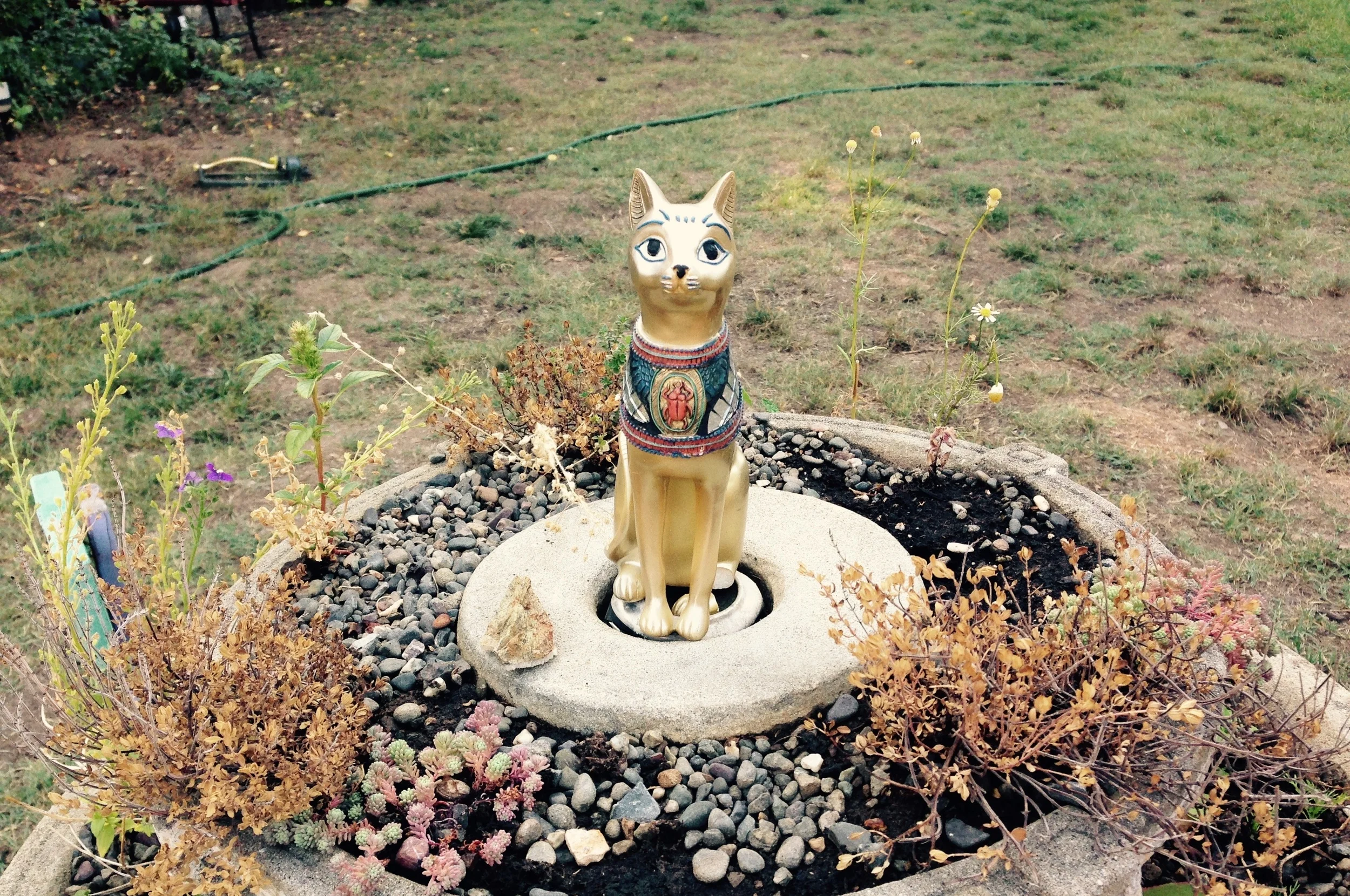 FullSizeRender (2).jpg