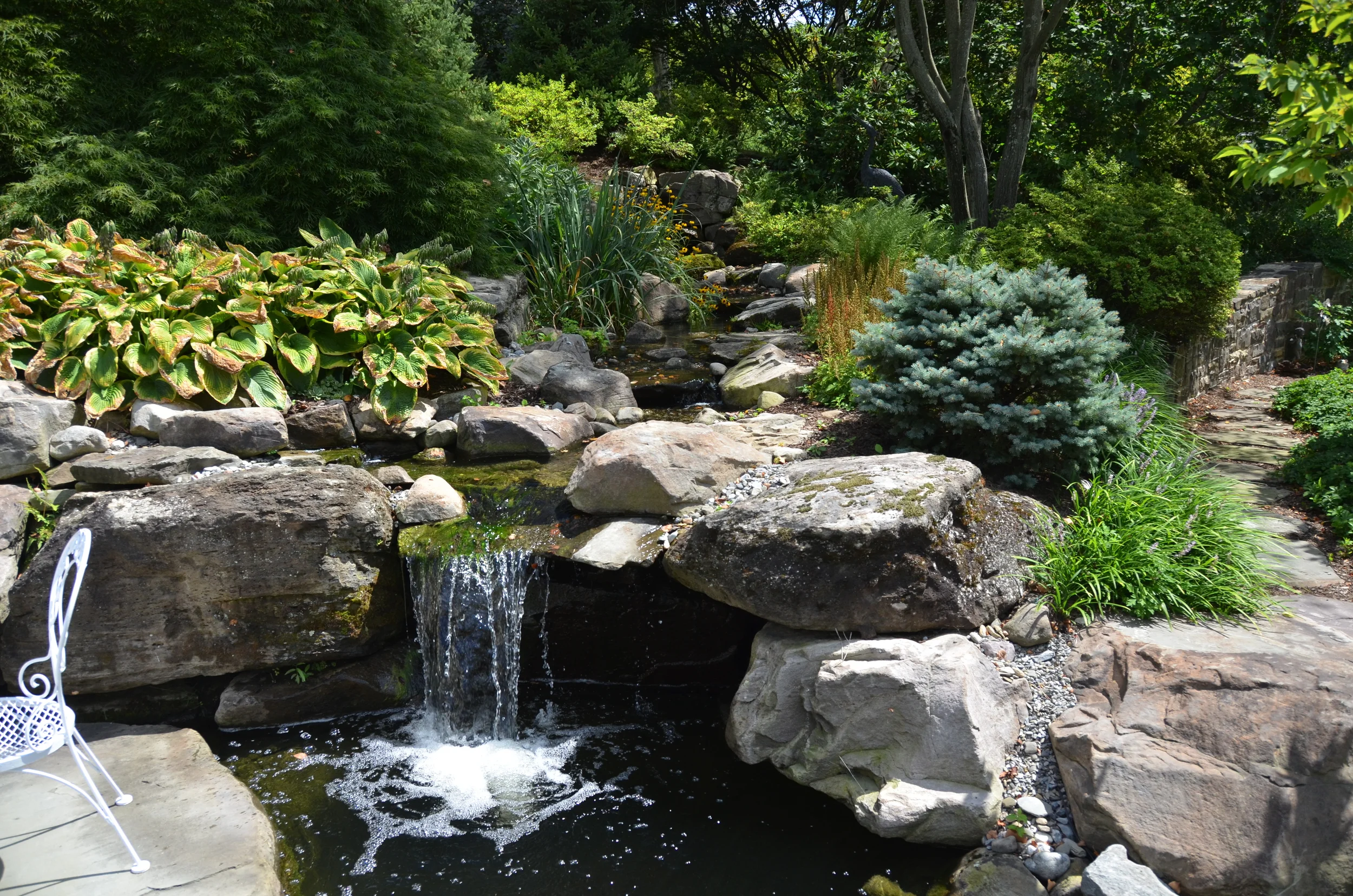 DSC_8926.JPG