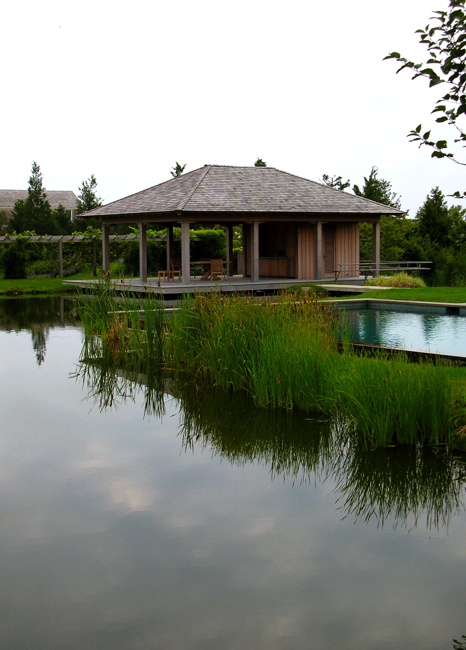 Environmental Oasis_Pondworks_large pond_natural_retention_cattails_a.jpg