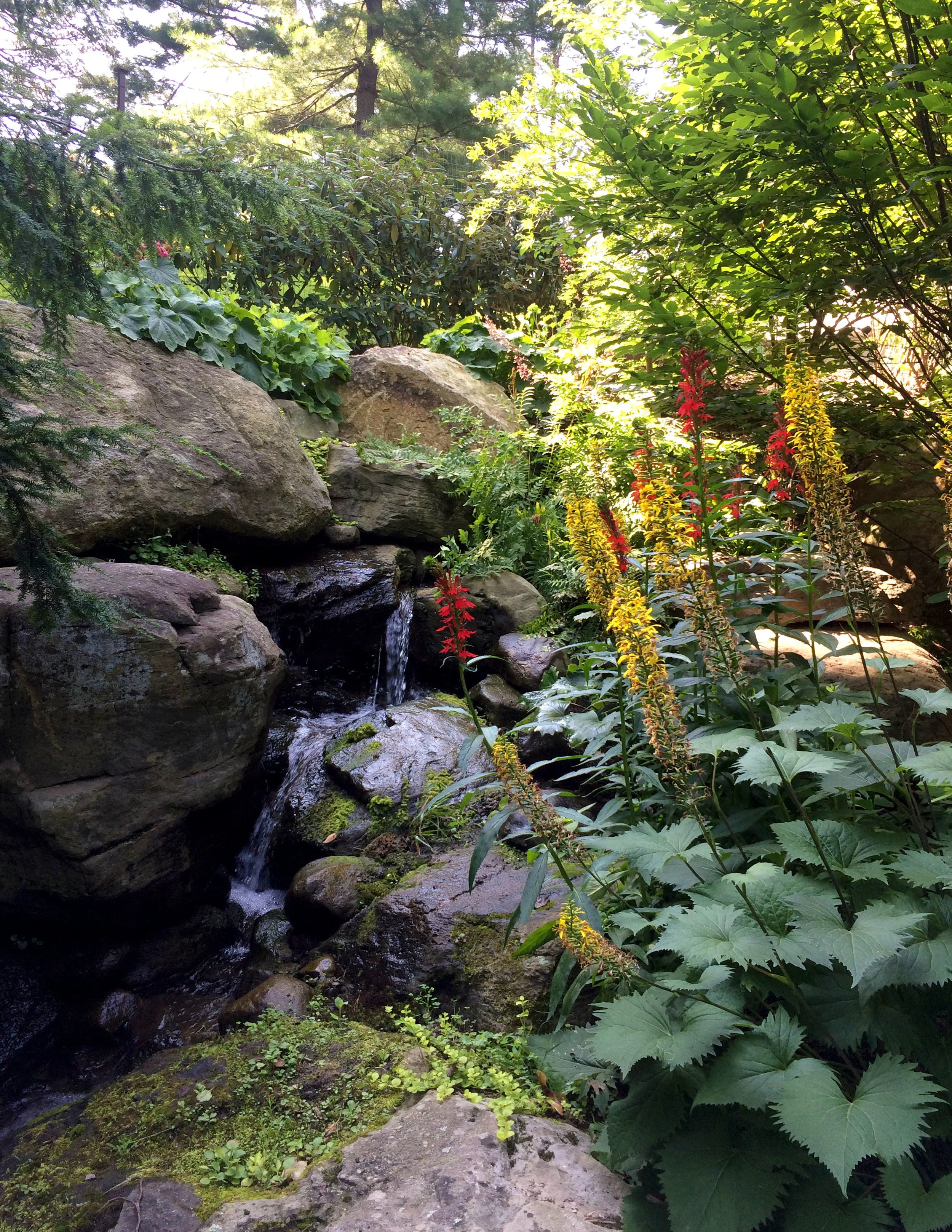 Pondworks_A_boulders_waterfall_a.jpg