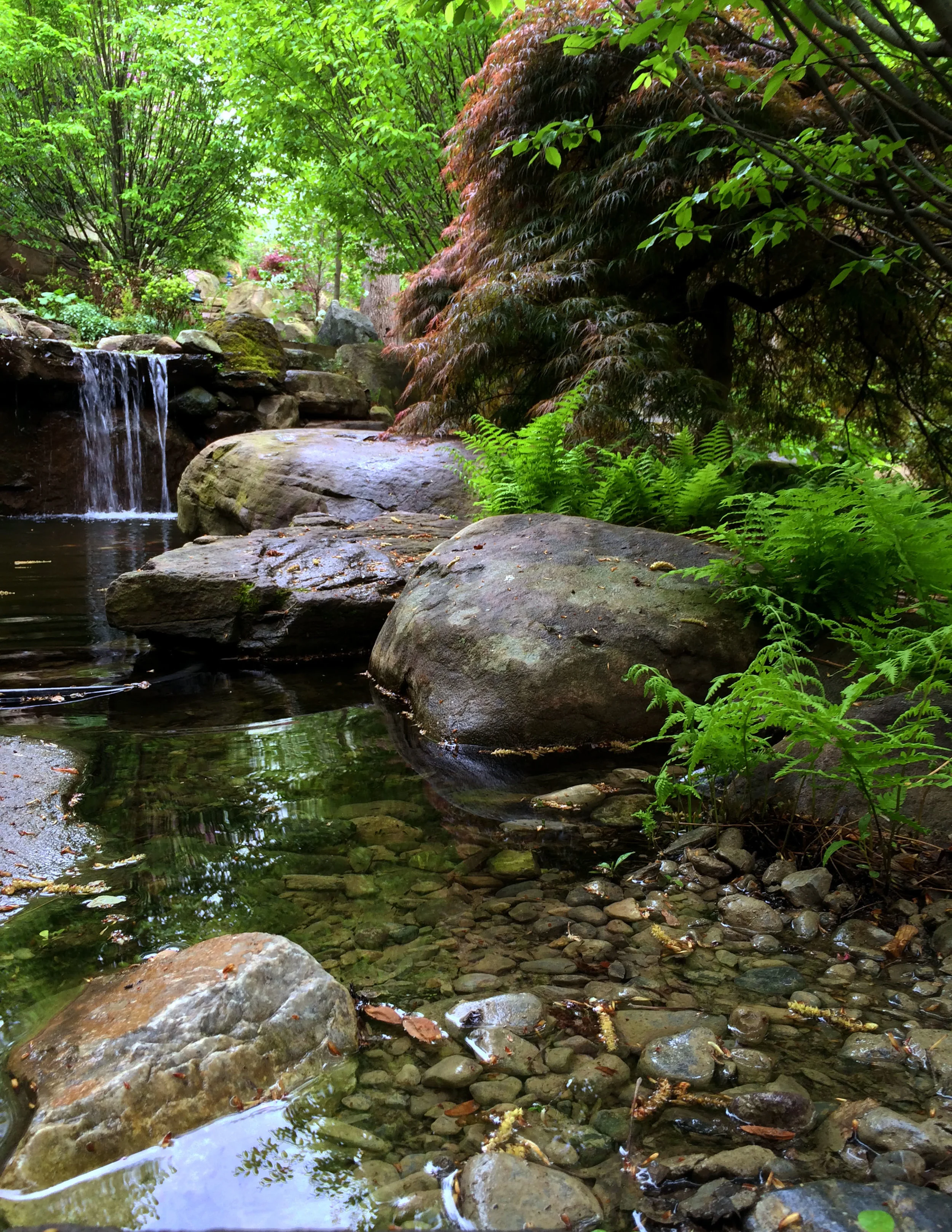 Pondworks_A_waterfall_boulders_ferns_05_a.jpg