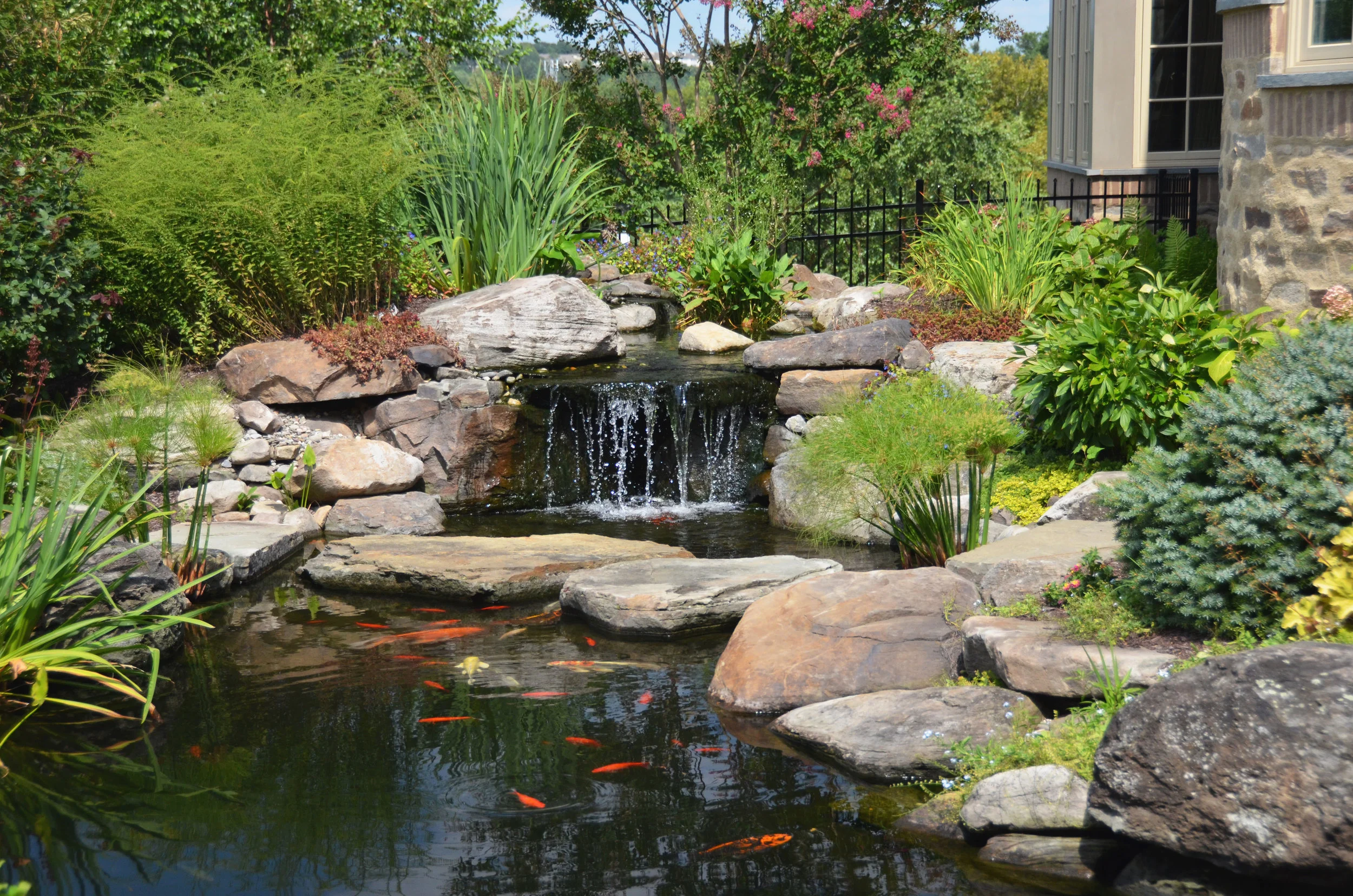 Pondworks_pond_design build_waterfall_koi_a.jpg