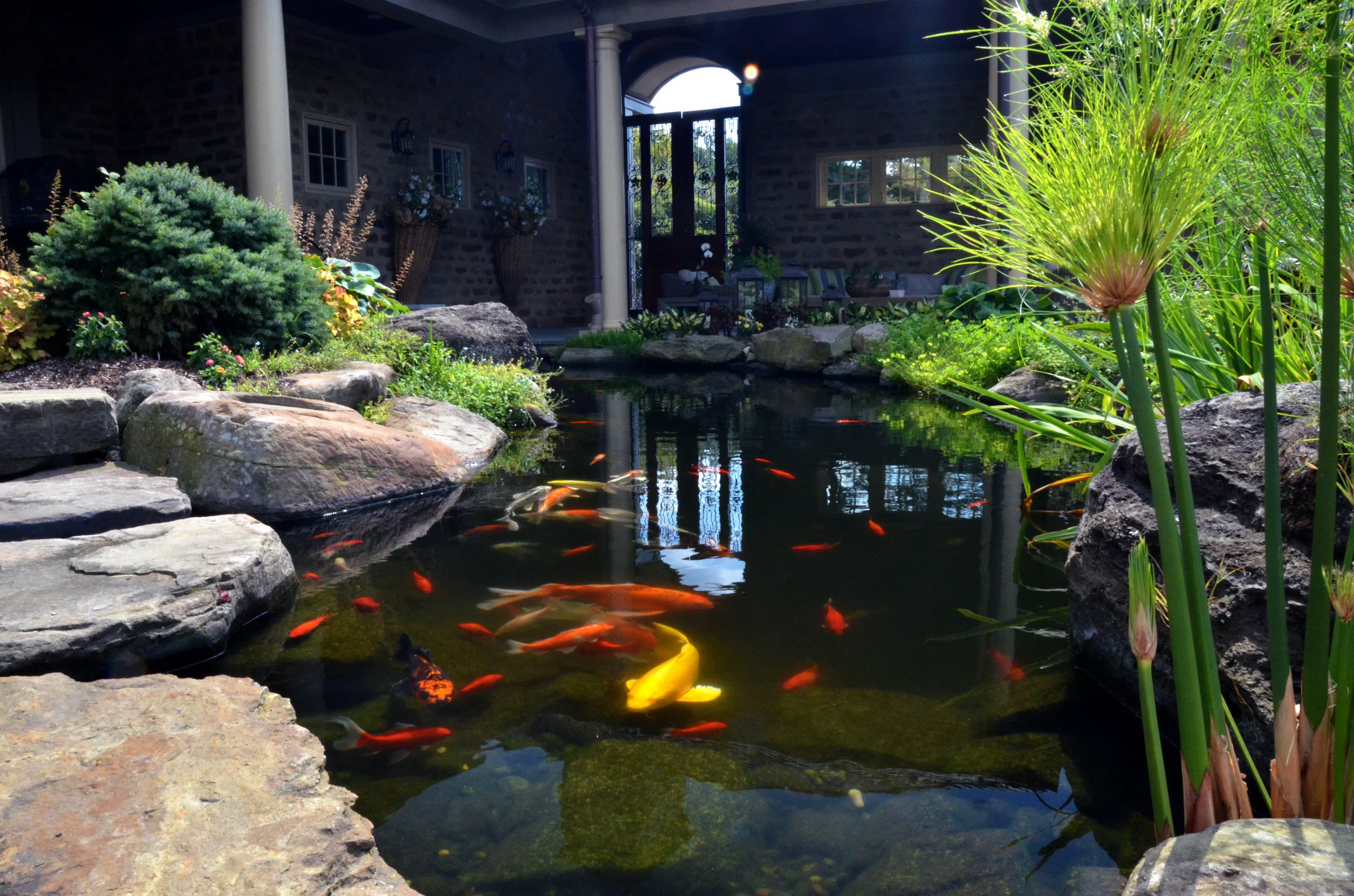 Pondworks_pond_koi_fish_boulders_custom_design build_a.jpg