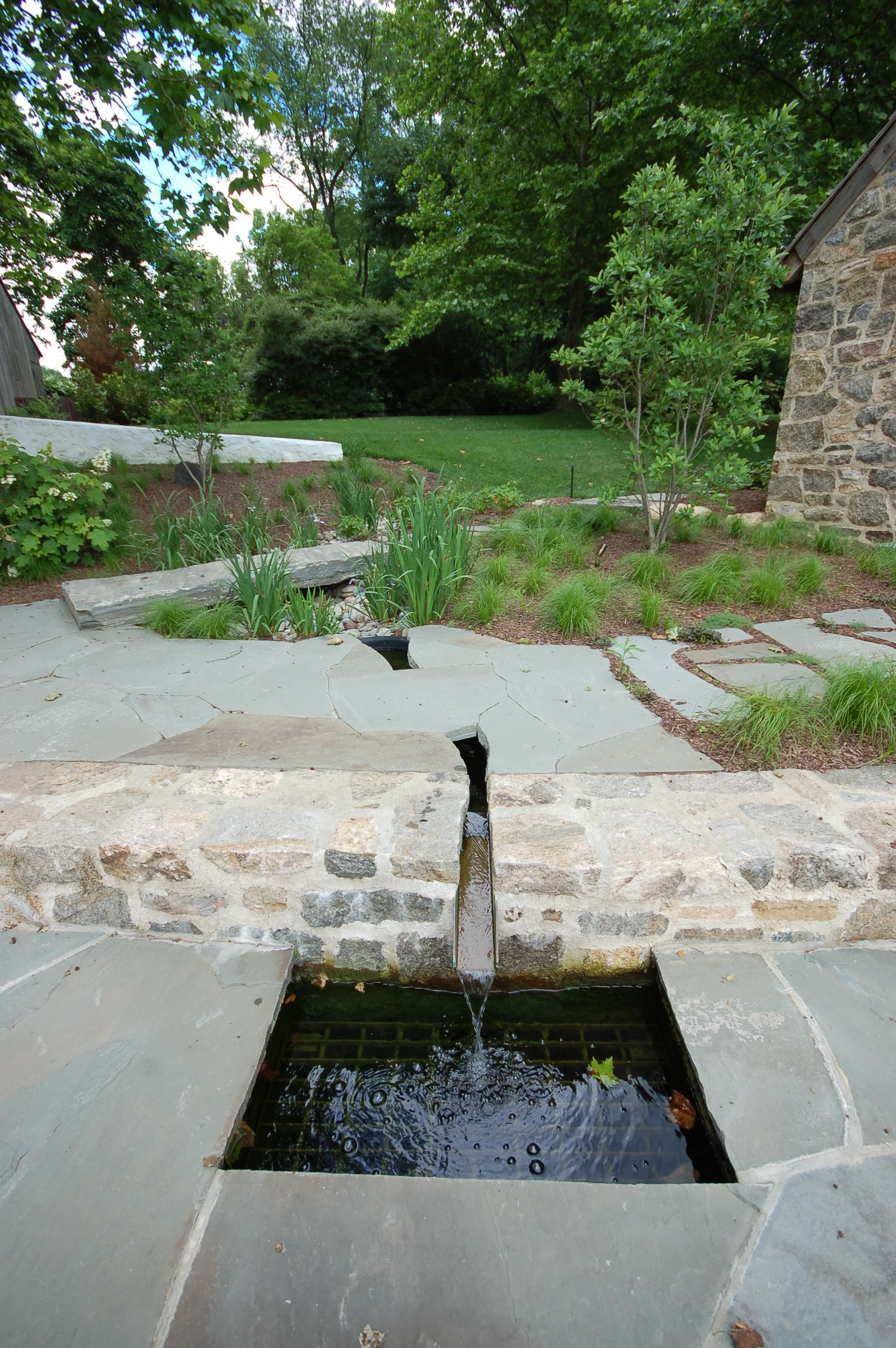 Pondworks_water feature_chester county_design build_03_a.JPG