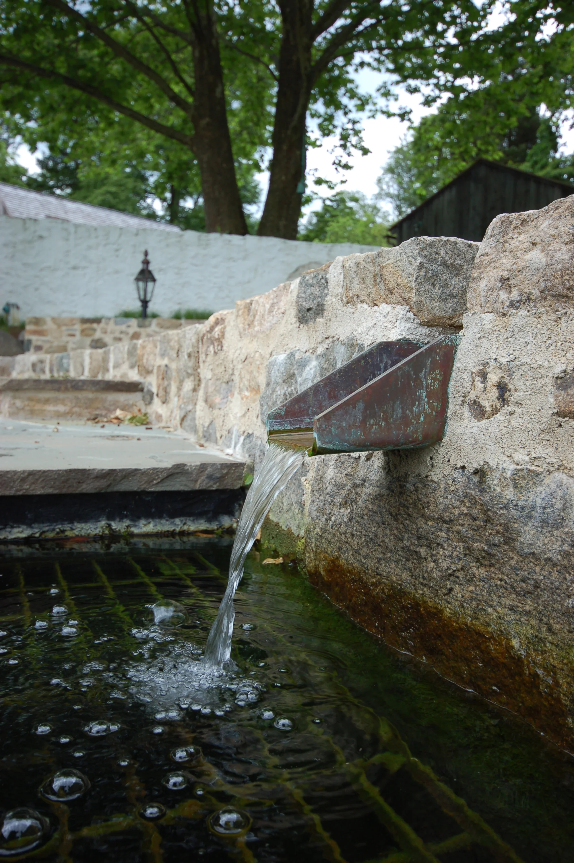 Pondworks_water feature_chester county_design build_05_a.JPG