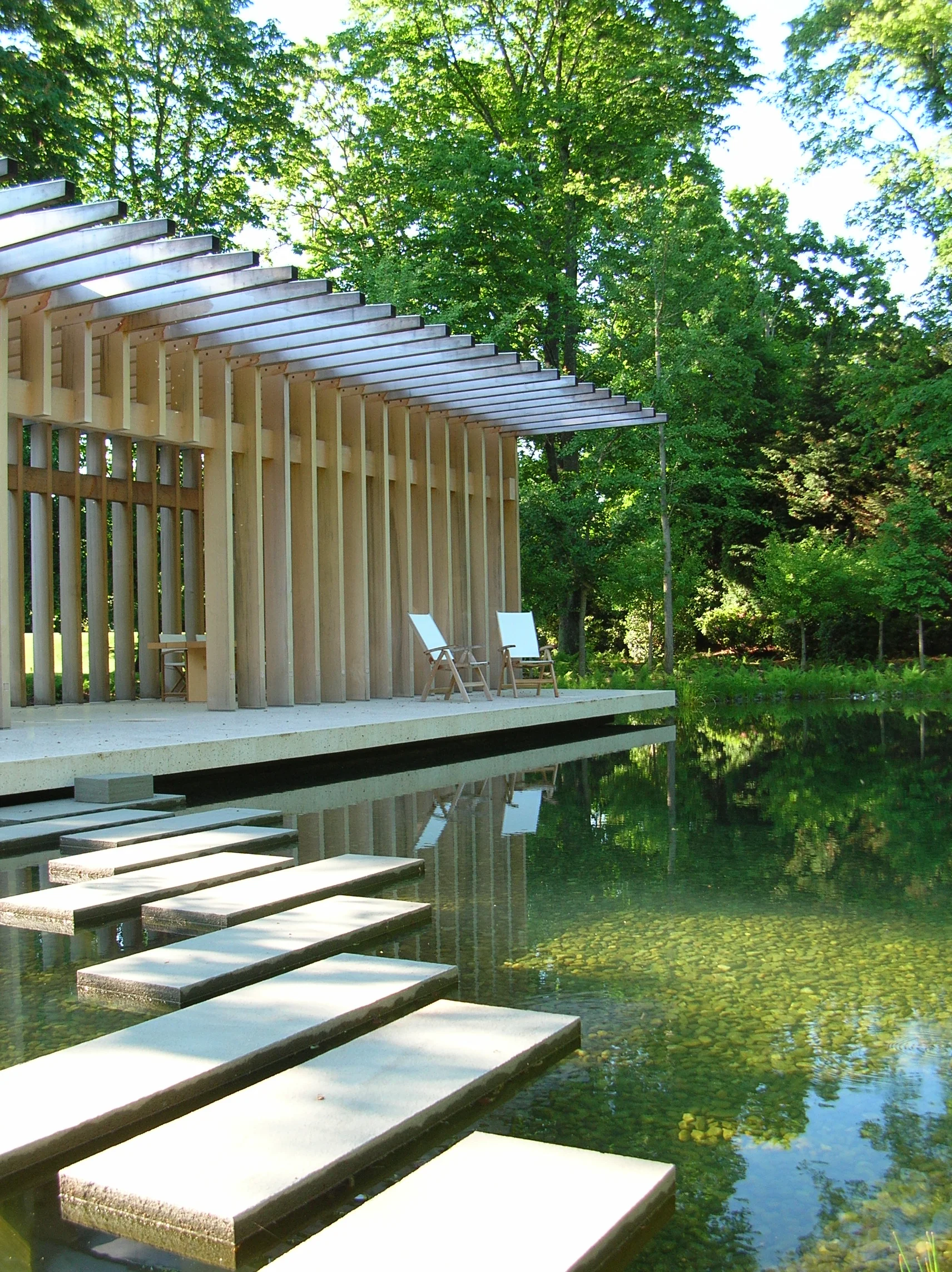 Large Pond_natural_5.JPG