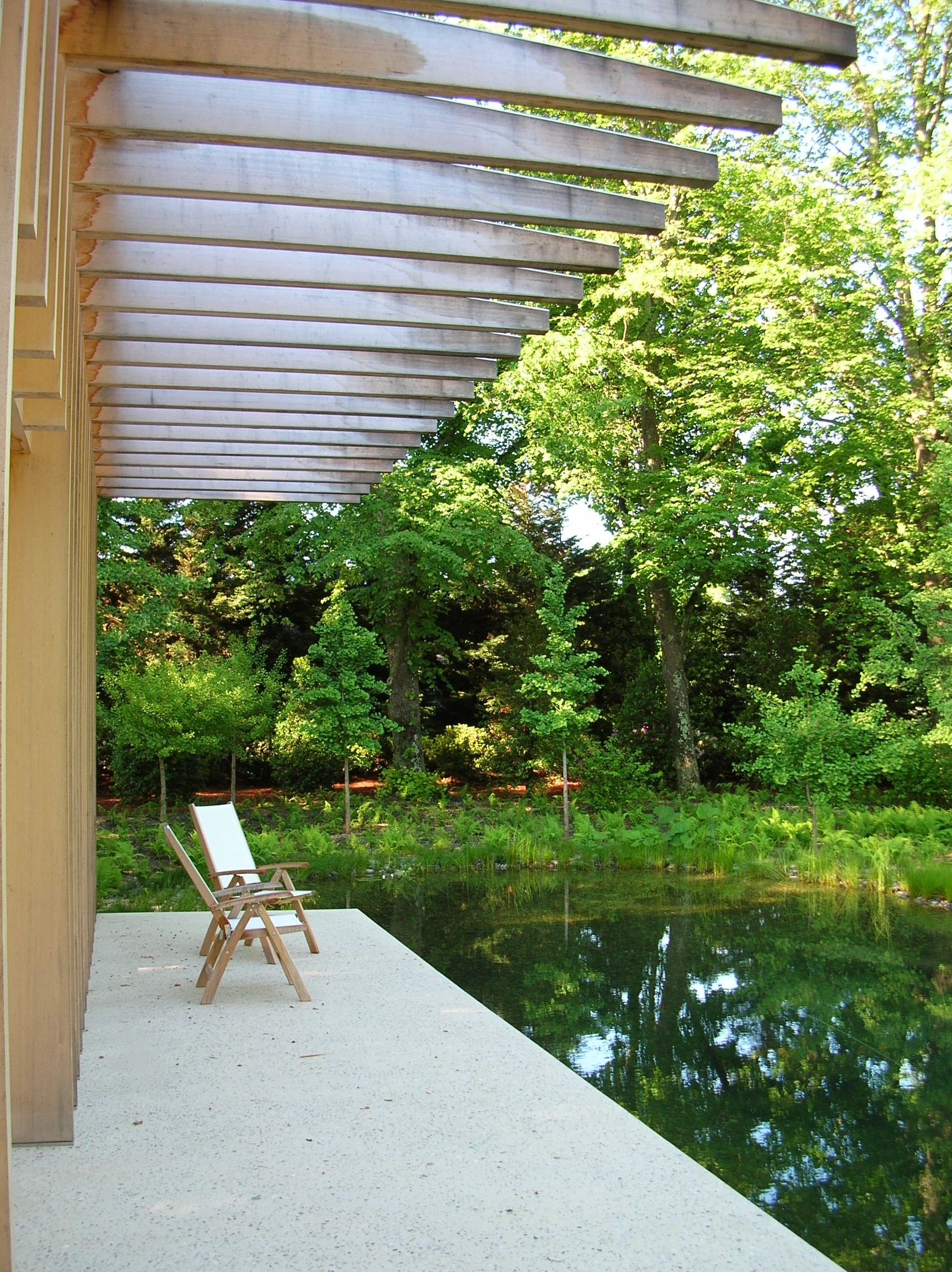 Large Pond_dock 2.JPG