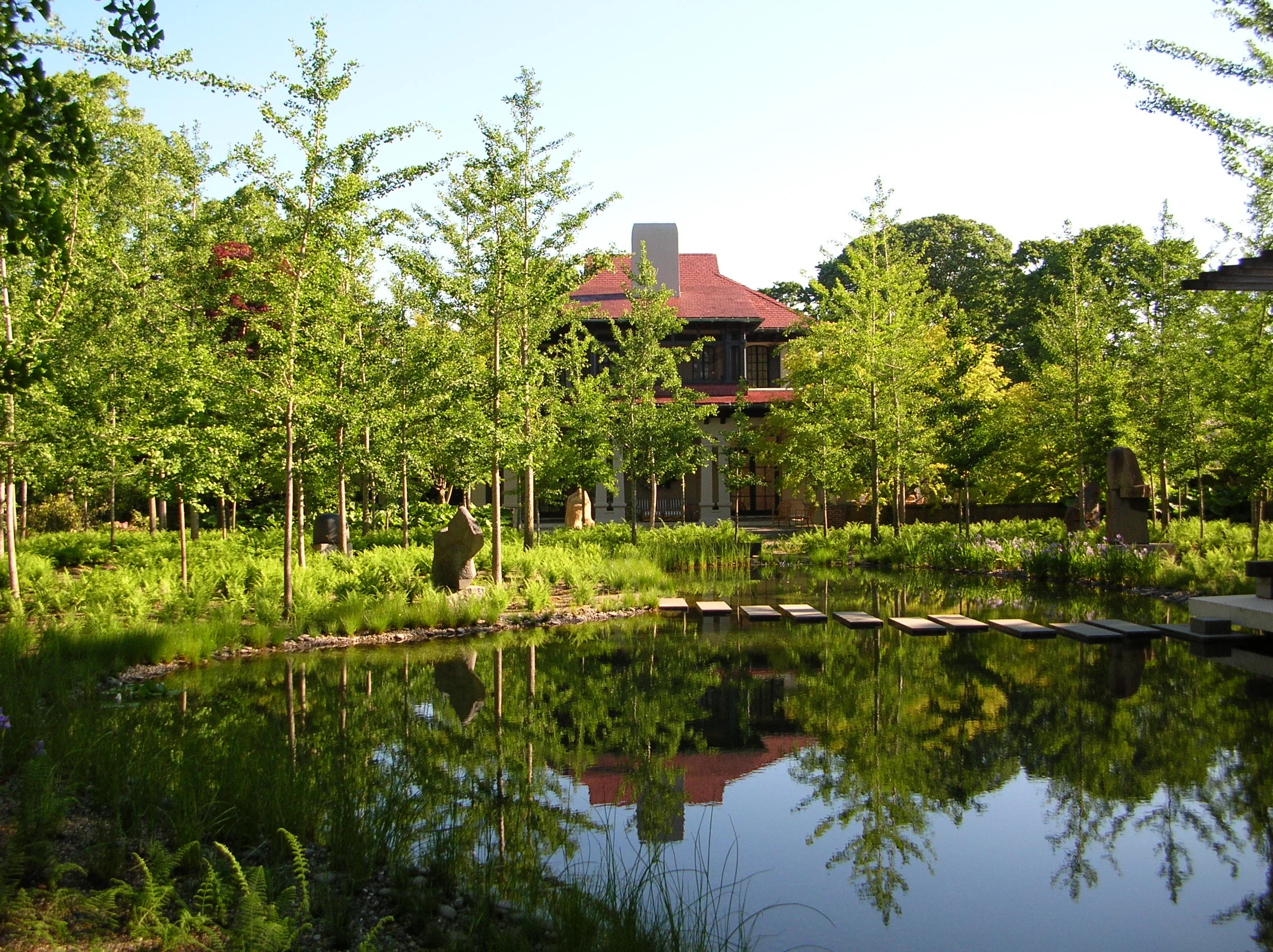 Large Pond_natural_6.JPG