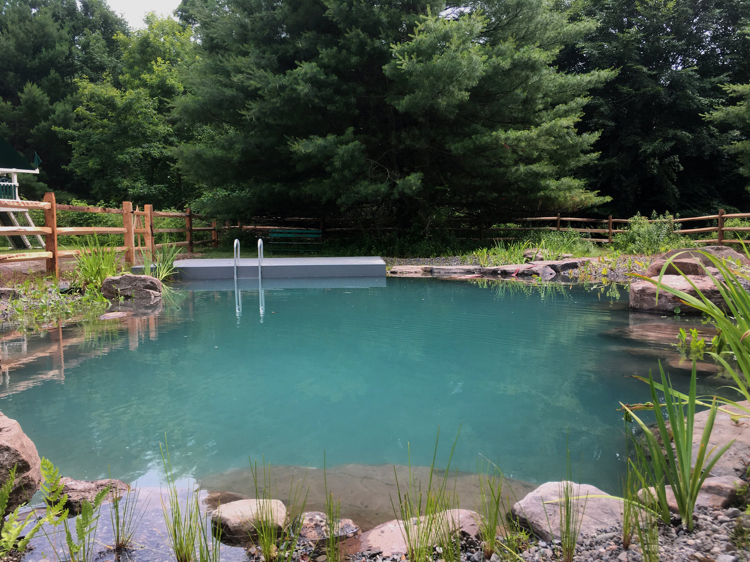 Natural Swimming Pool Pondworks