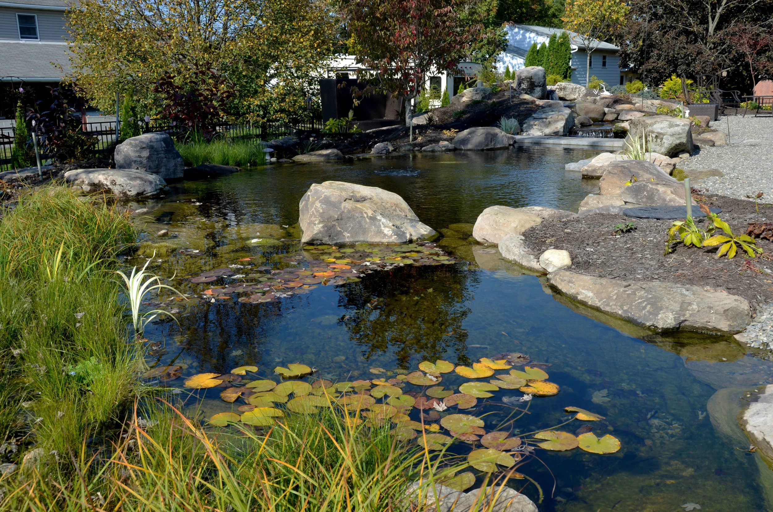 Pondworks_pond_overall_02.jpg