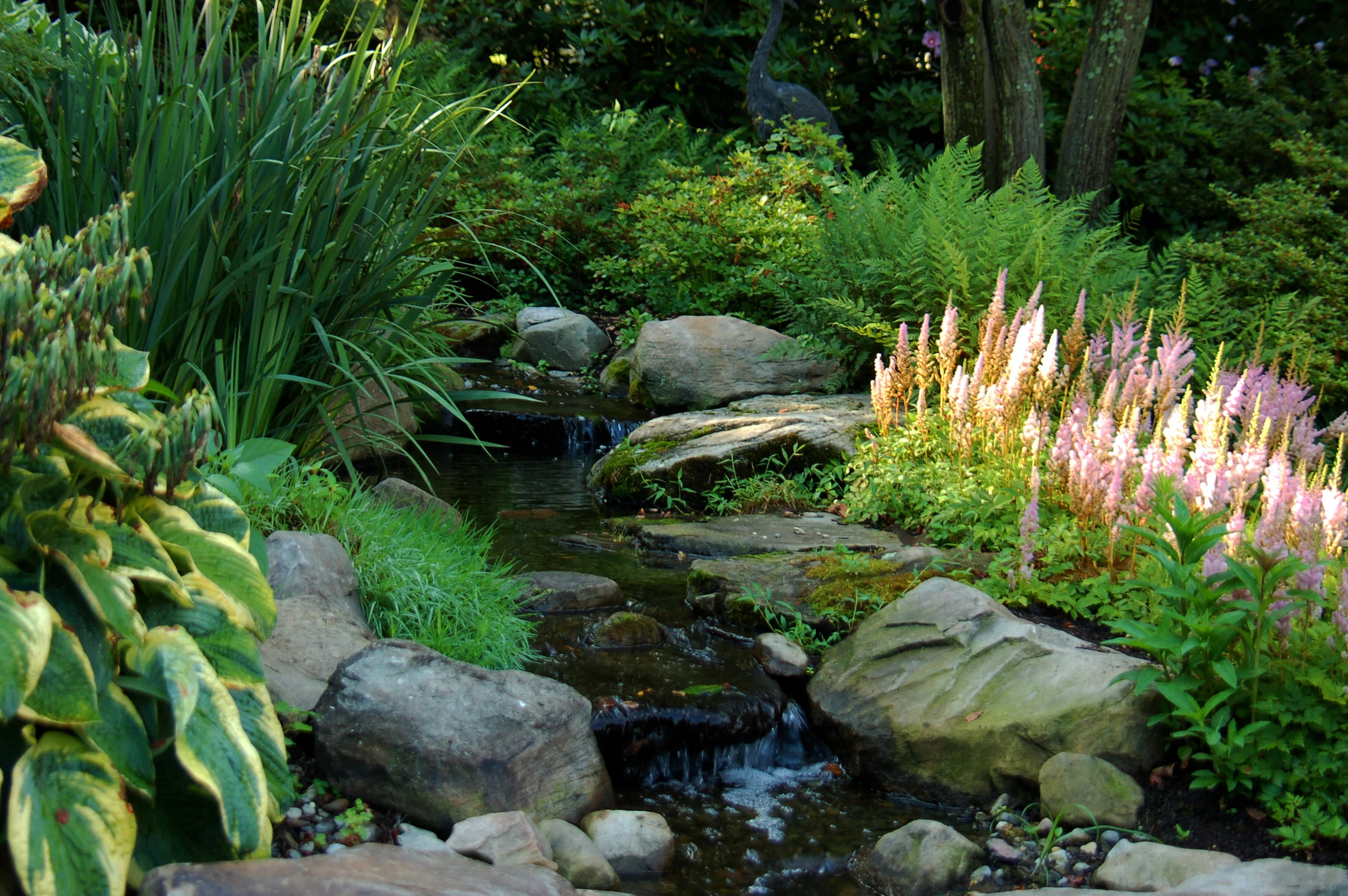 Pondworks_astilbe_pond_stream_custom_Design build.jpg