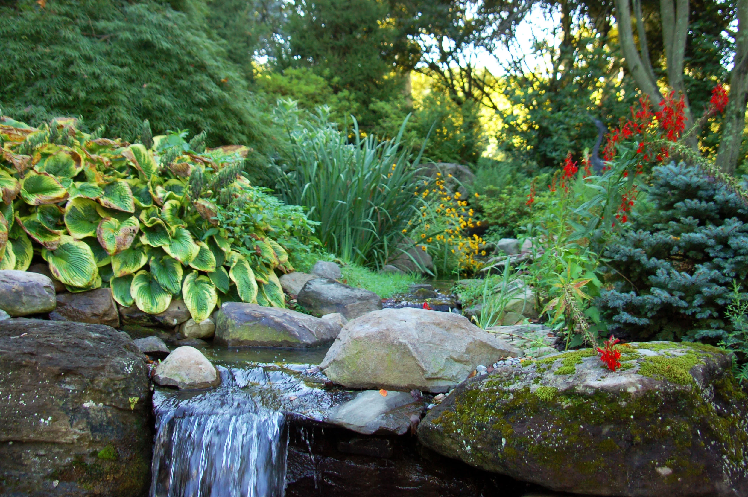 Pondworks_pond_Waterfall_custom_hosta_stream.jpg