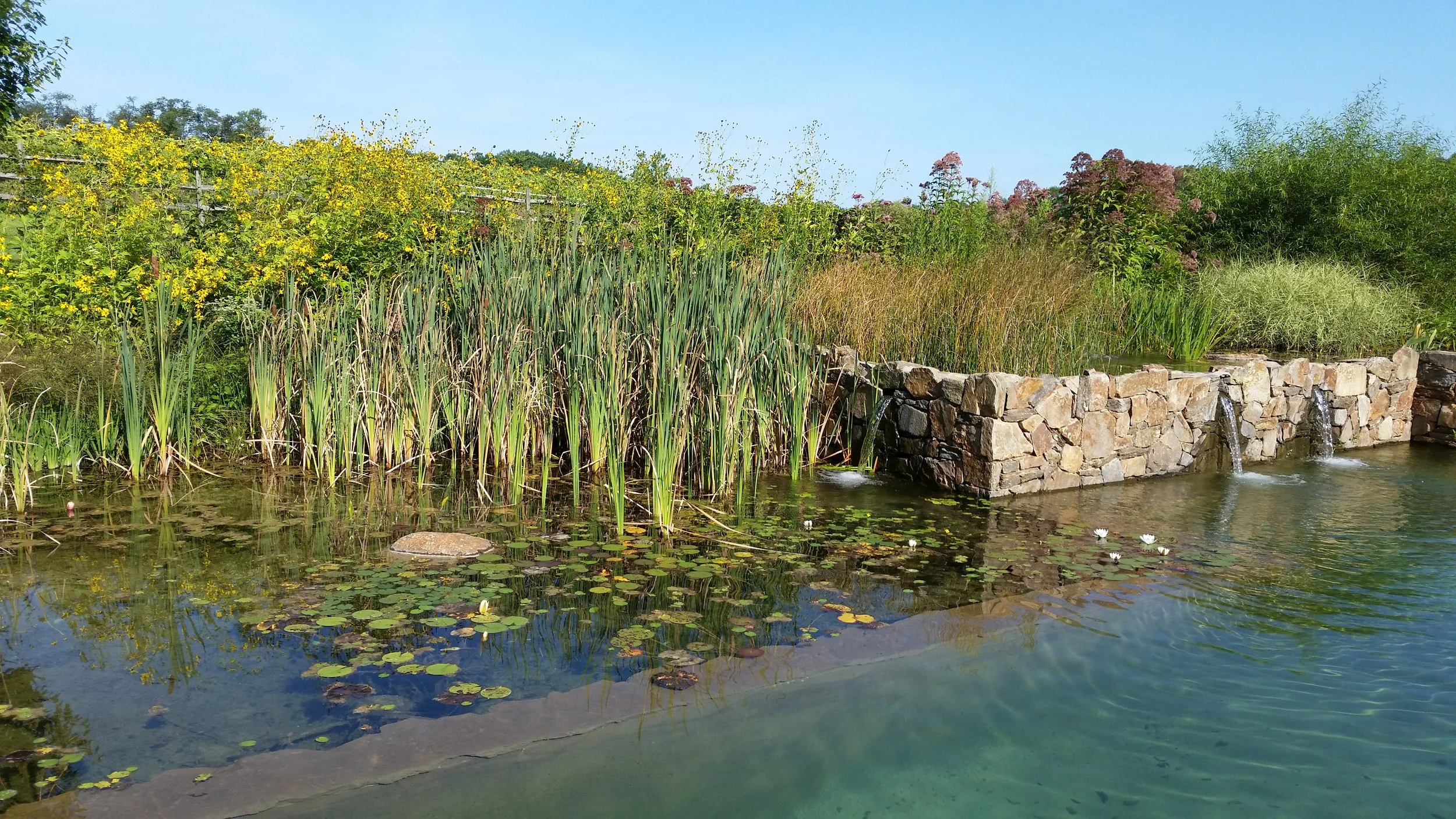 pondworks_natural swimming pool_nsp_05.jpg