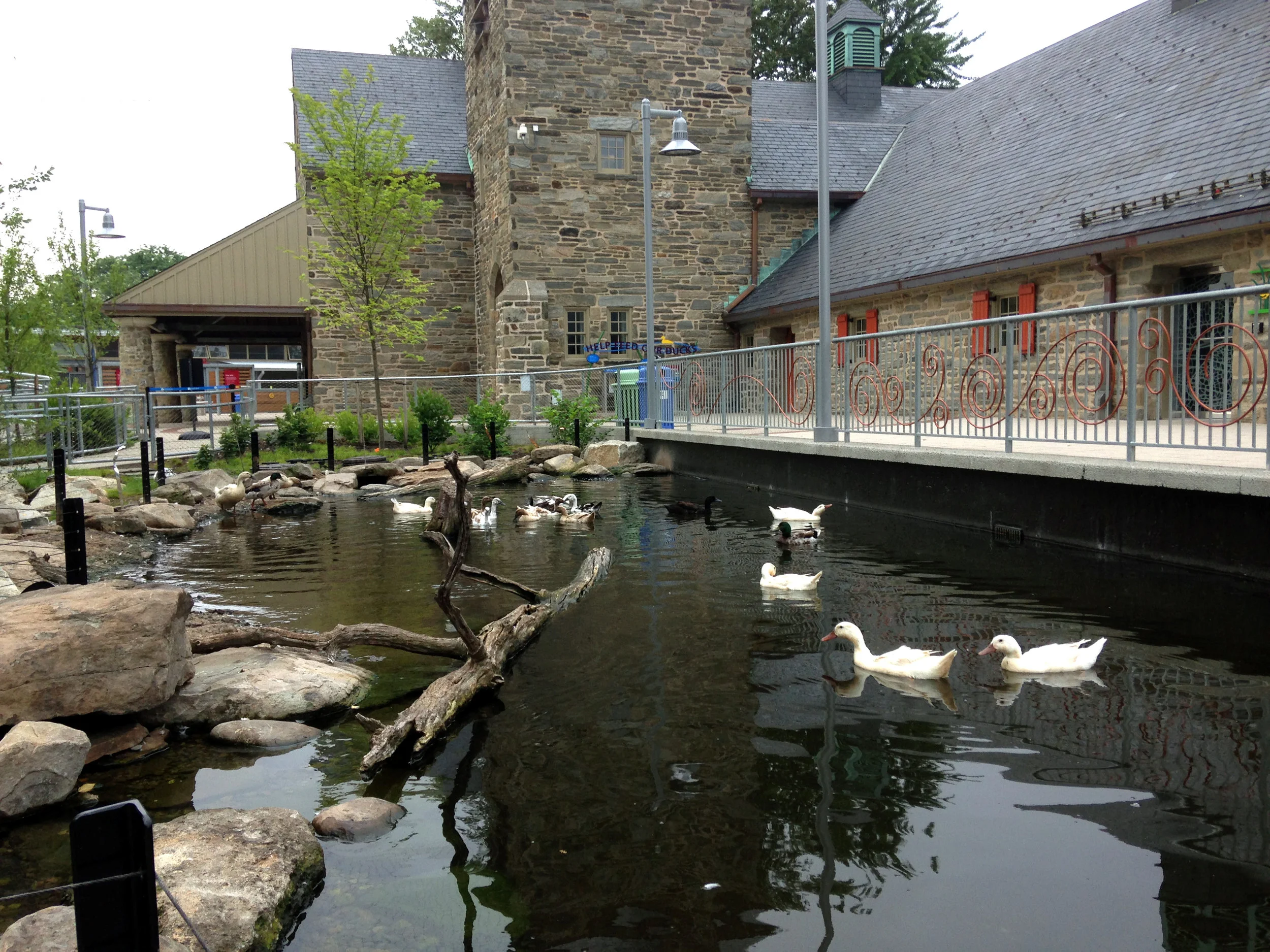 Pondworks_Philadelphia zoo_duck pond.JPG